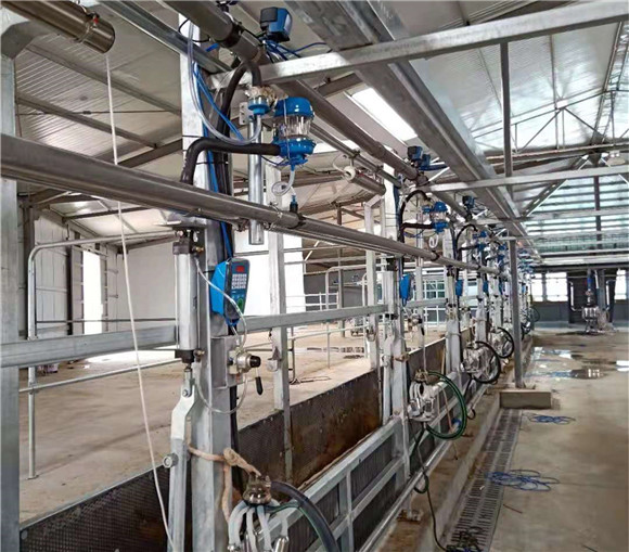 挤奶设备挤奶厅