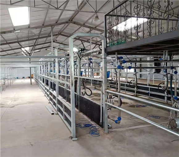 挤奶设备挤奶厅